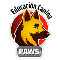 Sumo Sistemas paws educacion canina